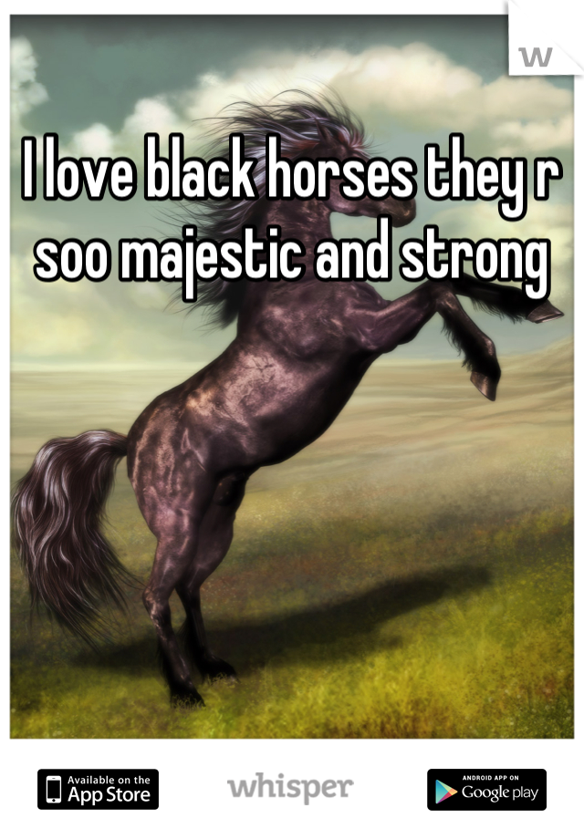 I love black horses they r soo majestic and strong