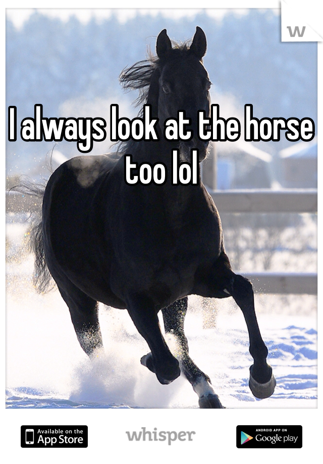 I always look at the horse too lol