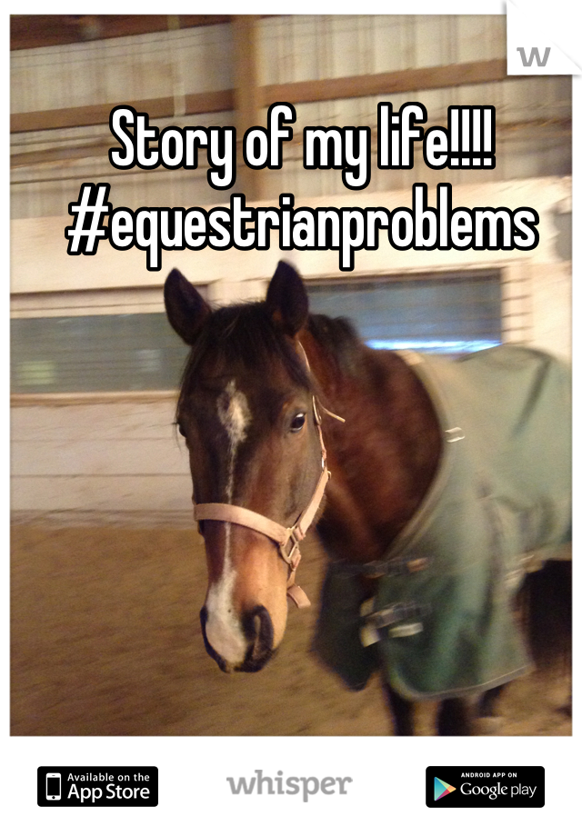 Story of my life!!!! #equestrianproblems