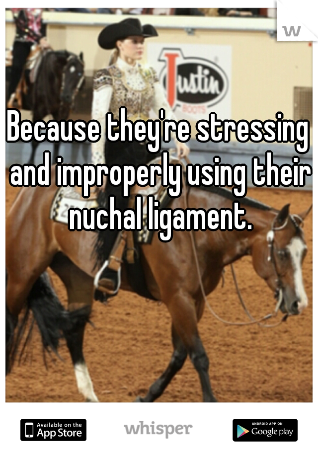 Because they're stressing and improperly using their nuchal ligament.