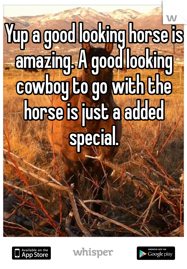 Yup a good looking horse is amazing. A good looking cowboy to go with the horse is just a added special.