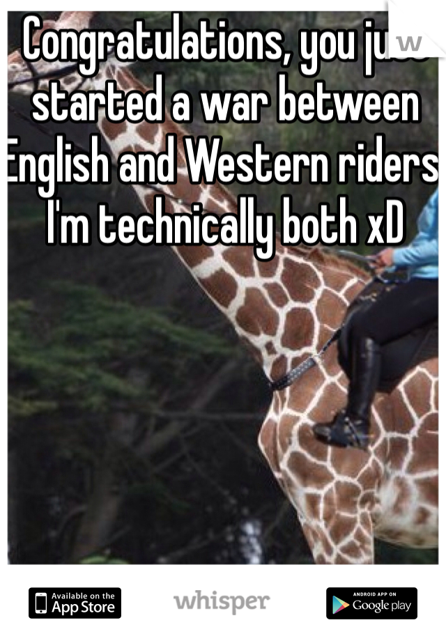 Congratulations, you just started a war between English and Western riders. I'm technically both xD