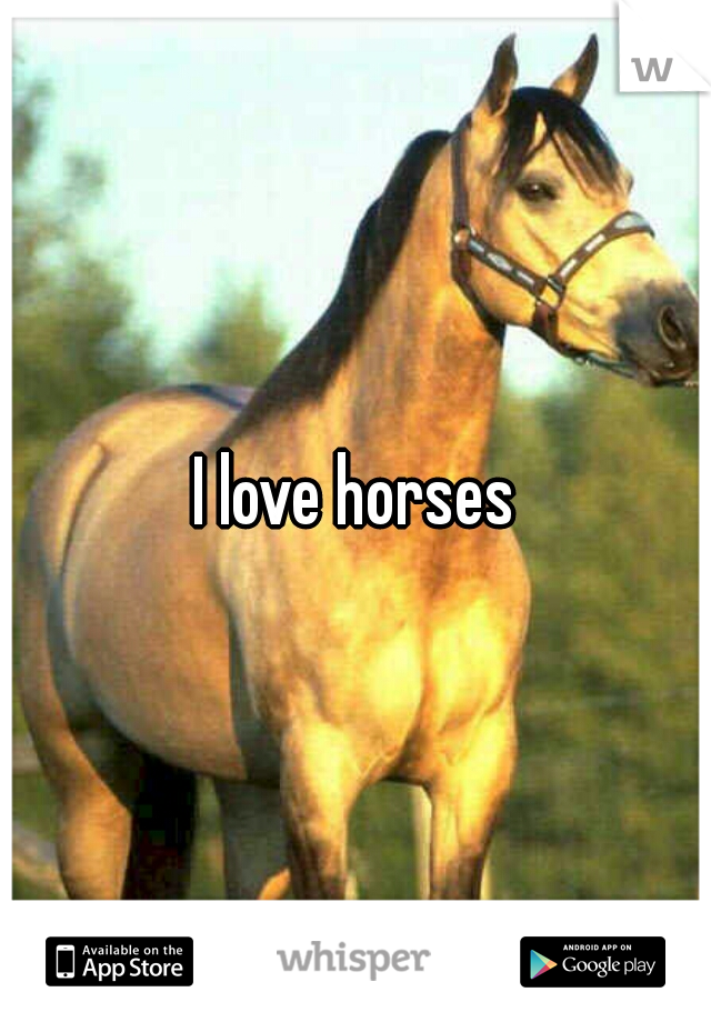 I love horses