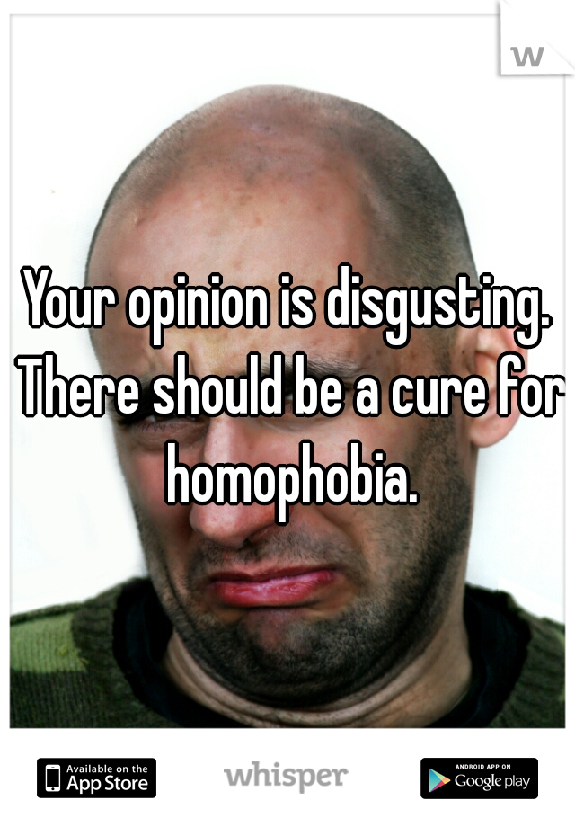 Your opinion is disgusting. There should be a cure for homophobia.