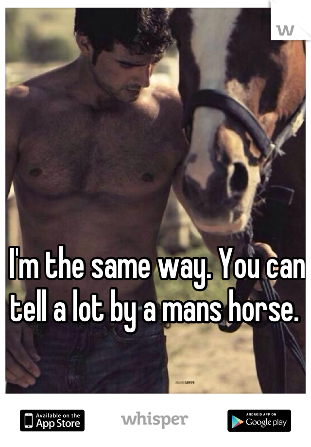 I'm the same way. You can tell a lot by a mans horse. 