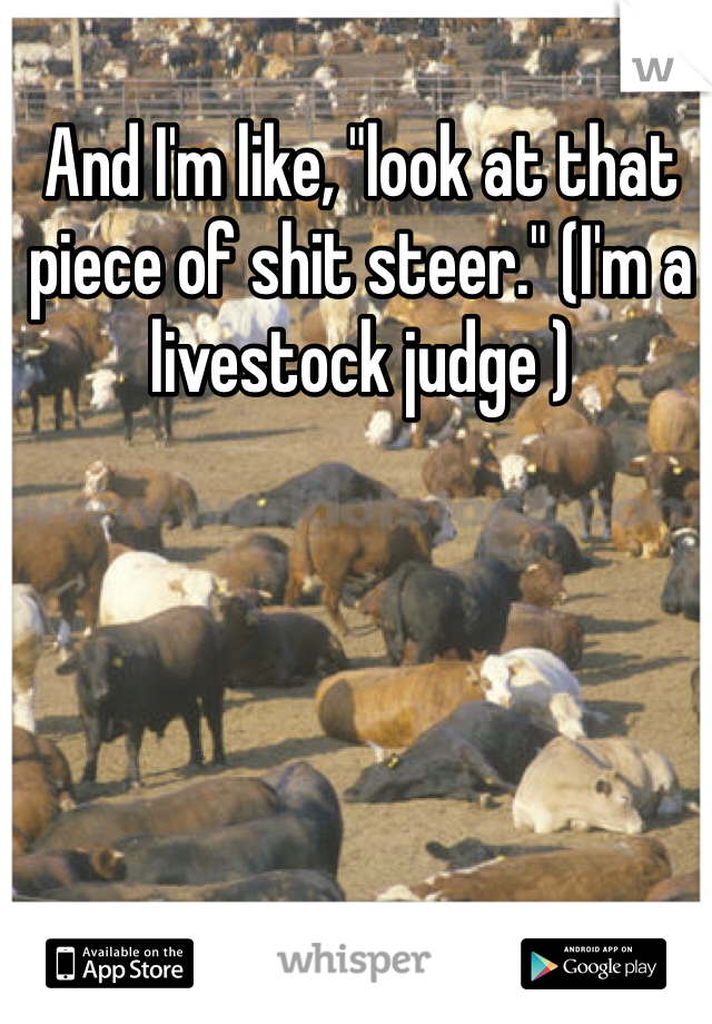 And I'm like, "look at that piece of shit steer." (I'm a livestock judge )