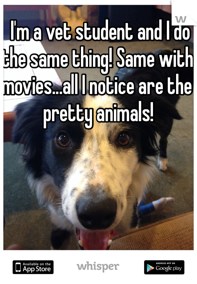  I'm a vet student and I do the same thing! Same with movies...all I notice are the pretty animals!