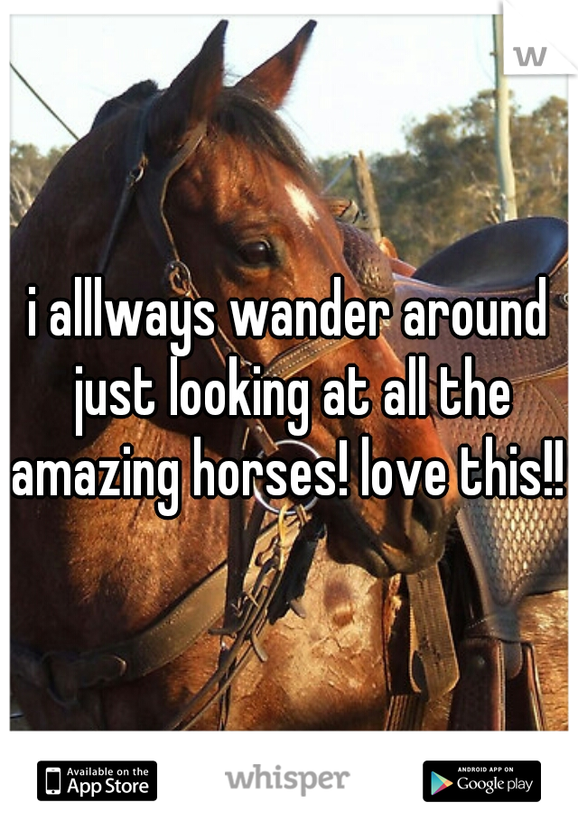 i alllways wander around just looking at all the amazing horses! love this!! 