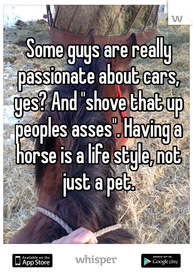 Some guys are really passionate about cars, yes? And "shove that up peoples asses". Having a horse is a life style, not just a pet. 