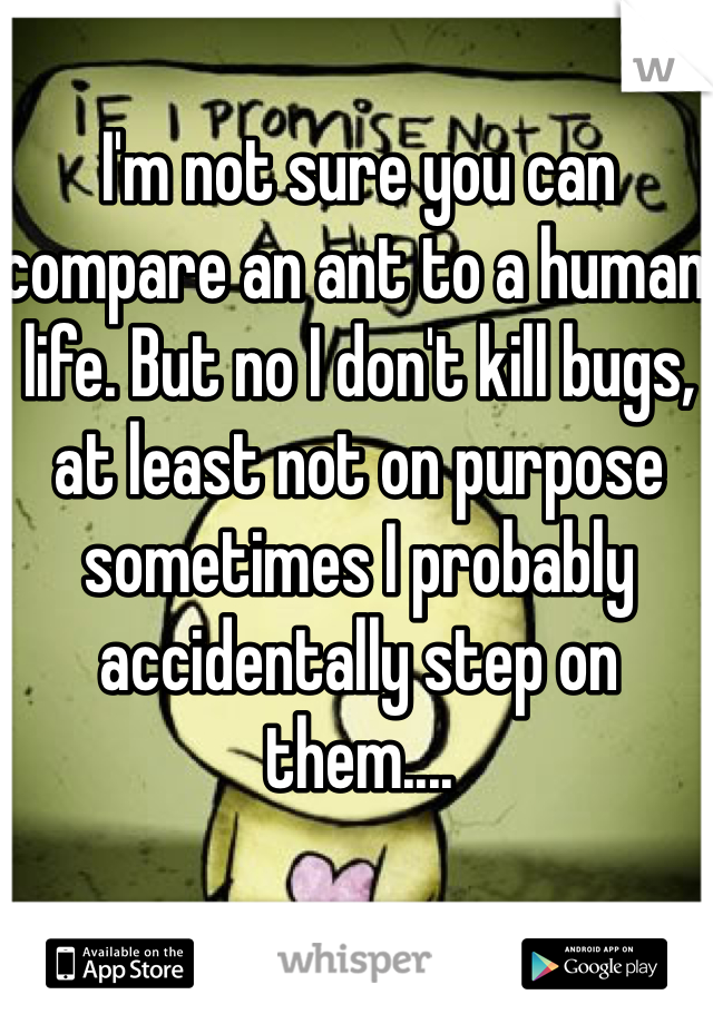 I'm not sure you can compare an ant to a human life. But no I don't kill bugs, at least not on purpose sometimes I probably accidentally step on them....