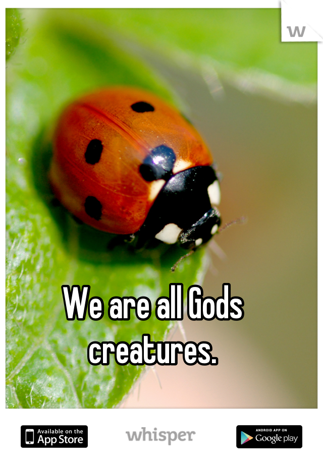 We are all Gods creatures.