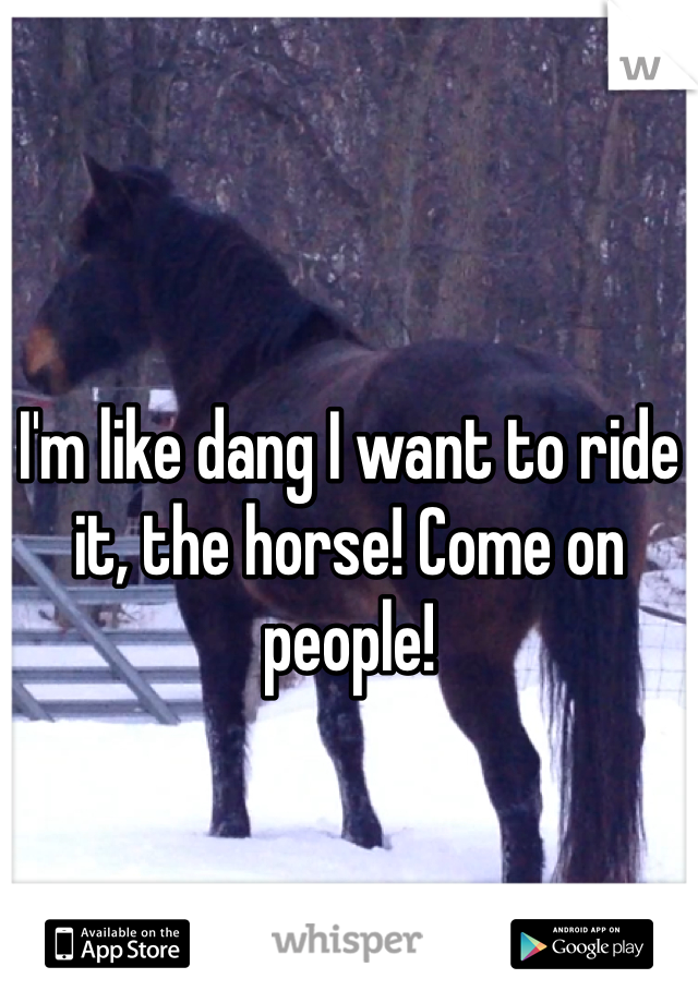 I'm like dang I want to ride it, the horse! Come on people! 