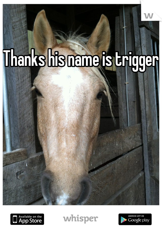 Thanks his name is trigger