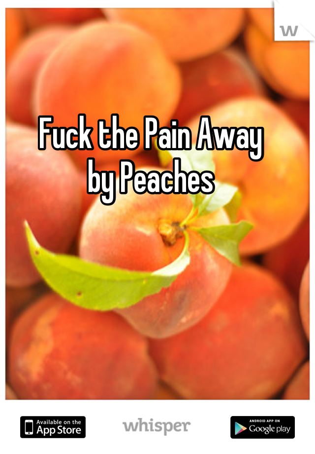 Fuck the Pain Away
by Peaches