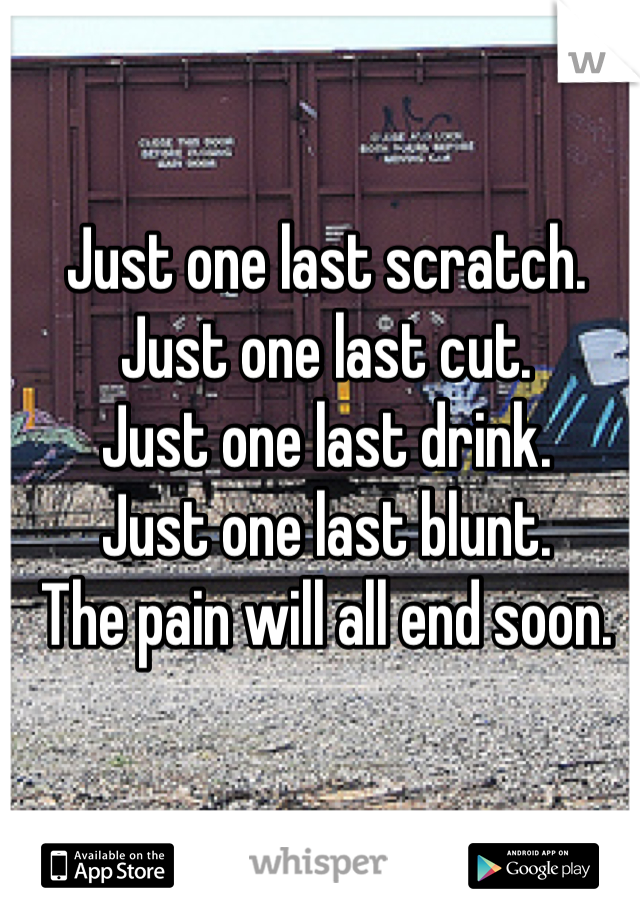 Just one last scratch. 
Just one last cut. 
Just one last drink. 
Just one last blunt. 
The pain will all end soon.