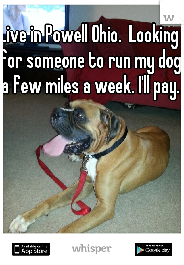 Live in Powell Ohio.  Looking for someone to run my dog a few miles a week. I'll pay..