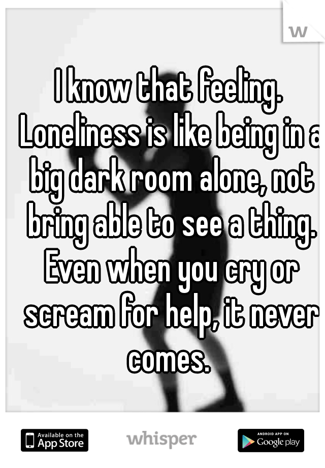 I know that feeling. Loneliness is like being in a big dark room alone, not bring able to see a thing. Even when you cry or scream for help, it never comes. 