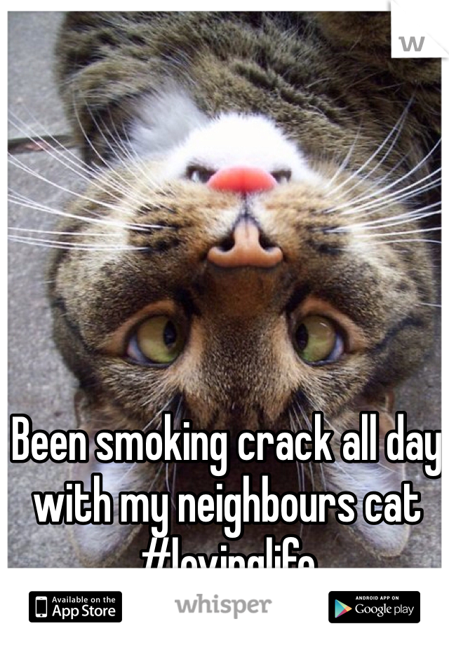 Been smoking crack all day with my neighbours cat #lovinglife