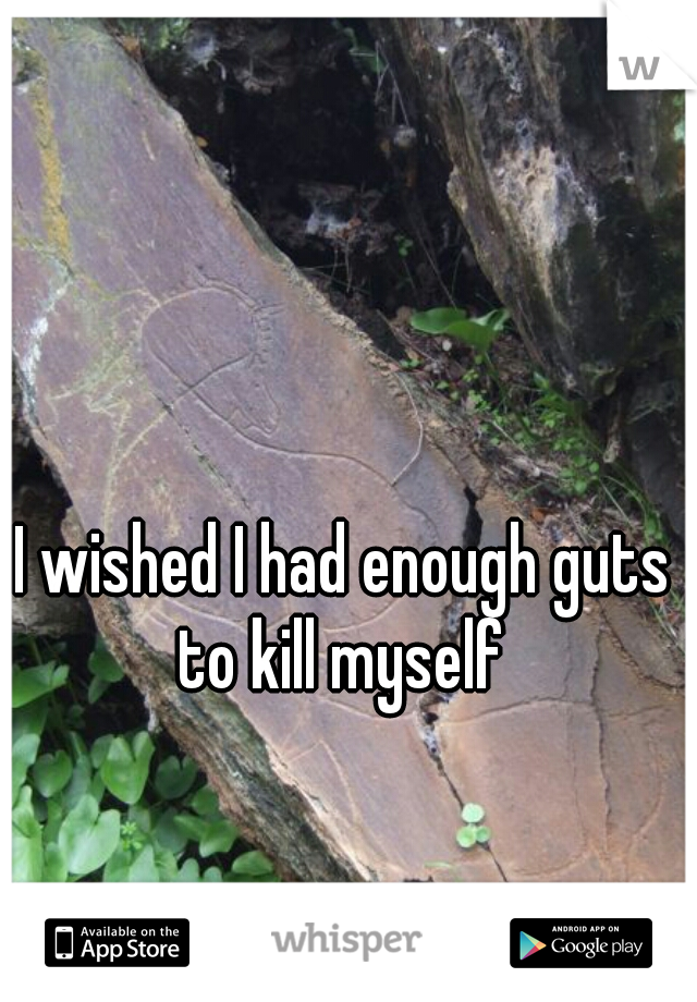 I wished I had enough guts to kill myself 