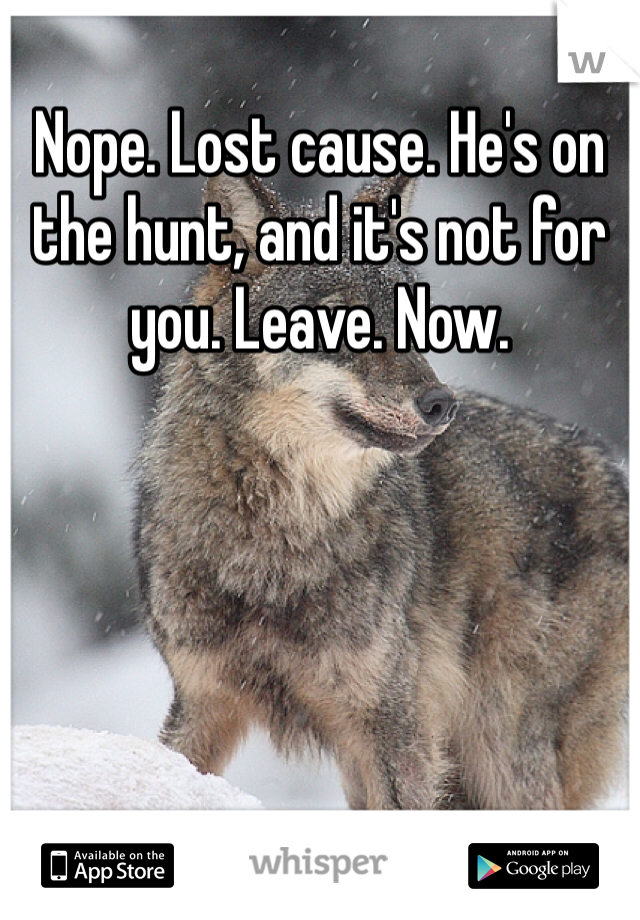 Nope. Lost cause. He's on the hunt, and it's not for you. Leave. Now. 
