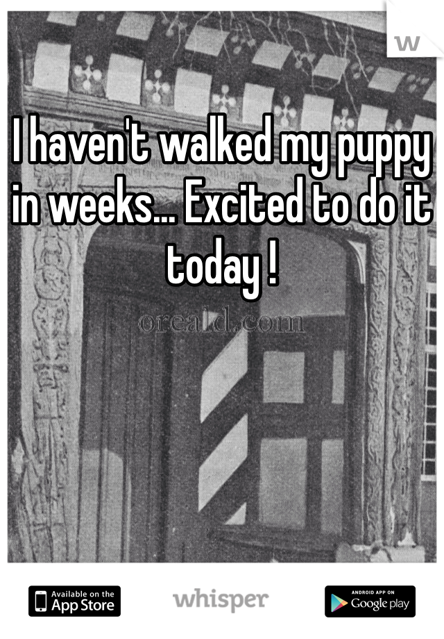 I haven't walked my puppy in weeks... Excited to do it today !