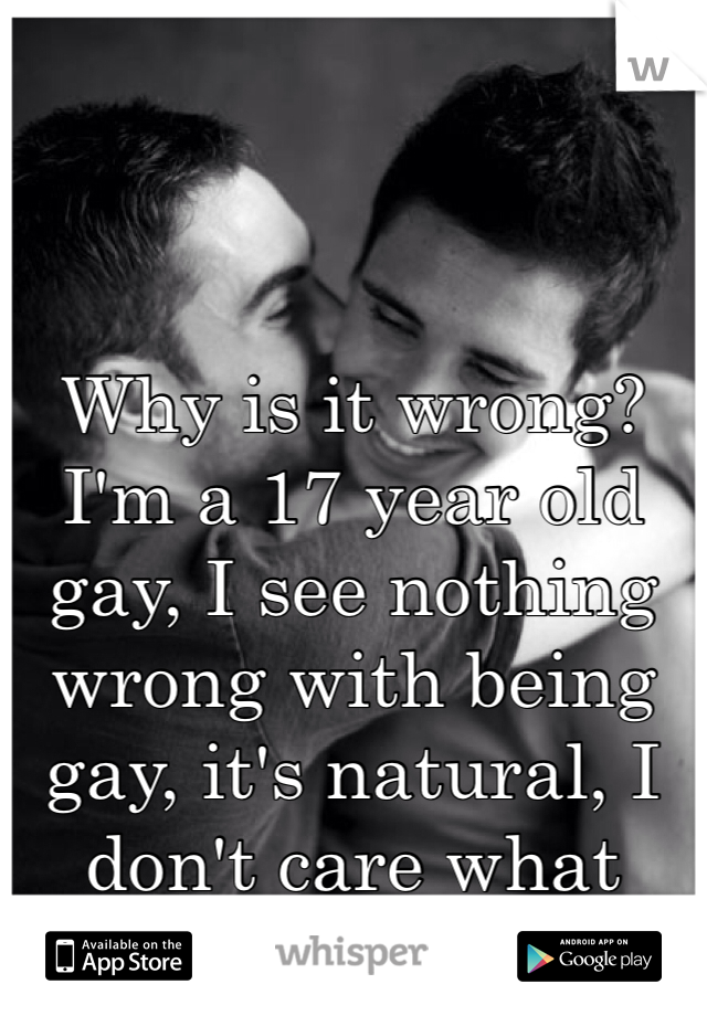Why is it wrong? I'm a 17 year old gay, I see nothing wrong with being gay, it's natural, I don't care what people say
