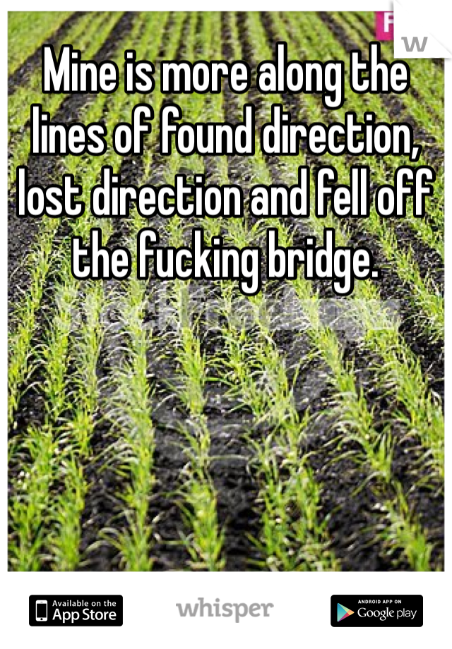 Mine is more along the lines of found direction, lost direction and fell off the fucking bridge.