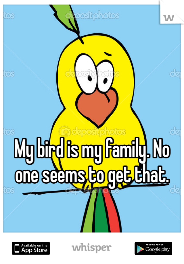 My bird is my family. No one seems to get that. 