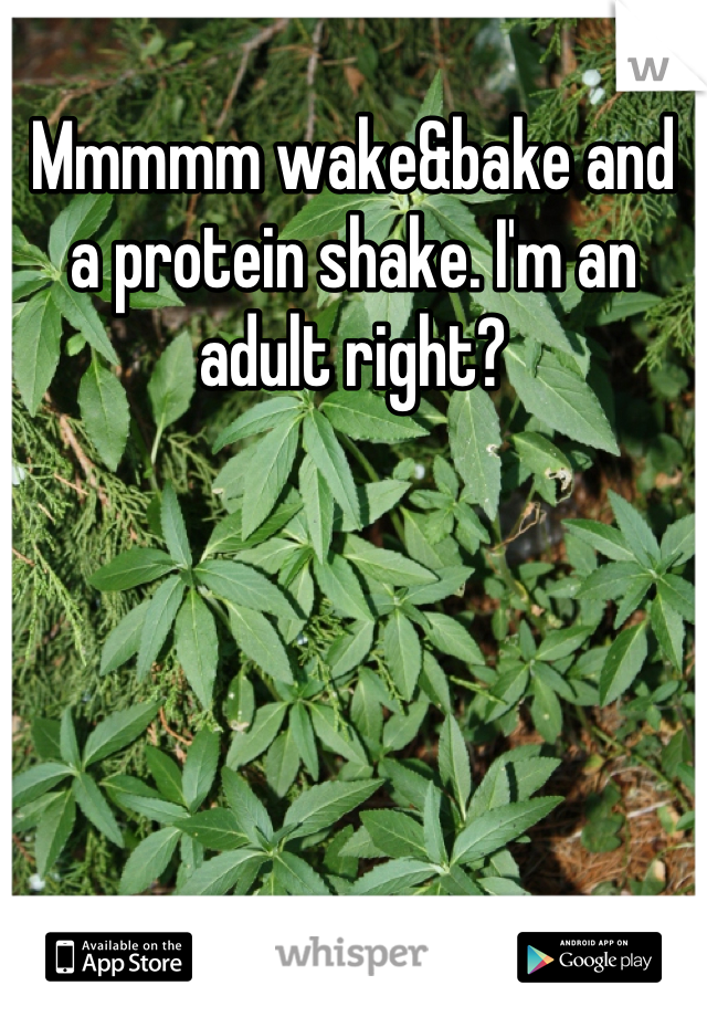 Mmmmm wake&bake and a protein shake. I'm an adult right?