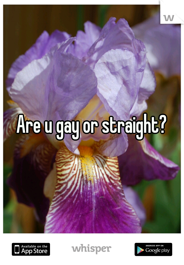 Are u gay or straight?