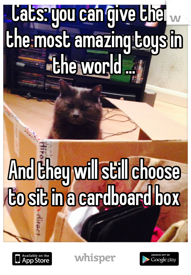Cats: you can give them the most amazing toys in the world ...



And they will still choose to sit in a cardboard box 


