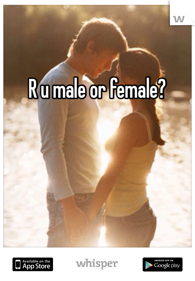 R u male or female?
