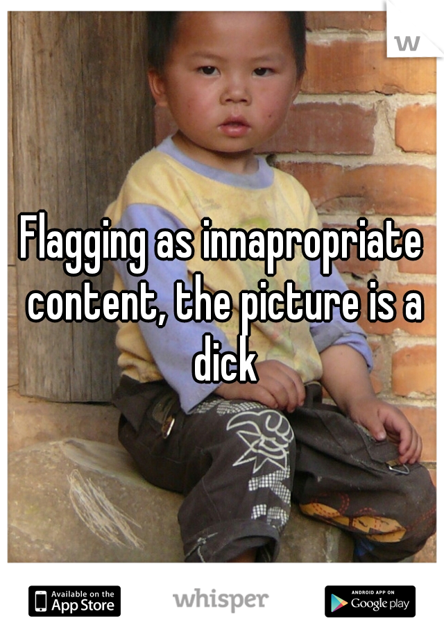 Flagging as innapropriate content, the picture is a dick