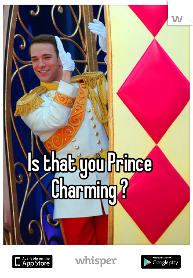 Is that you Prince Charming ?