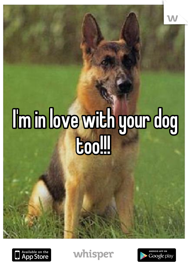 I'm in love with your dog too!!! 