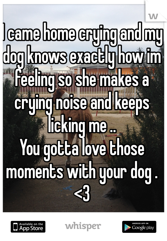 I came home crying and my dog knows exactly how im feeling so she makes a crying noise and keeps licking me ..
You gotta love those moments with your dog . <3