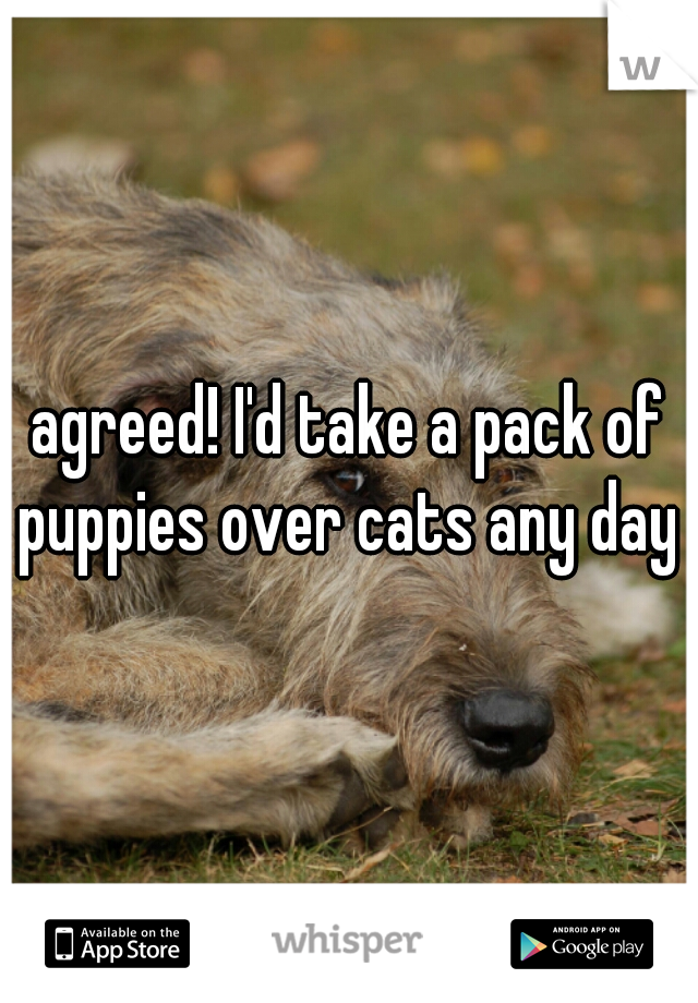 agreed! I'd take a pack of puppies over cats any day 