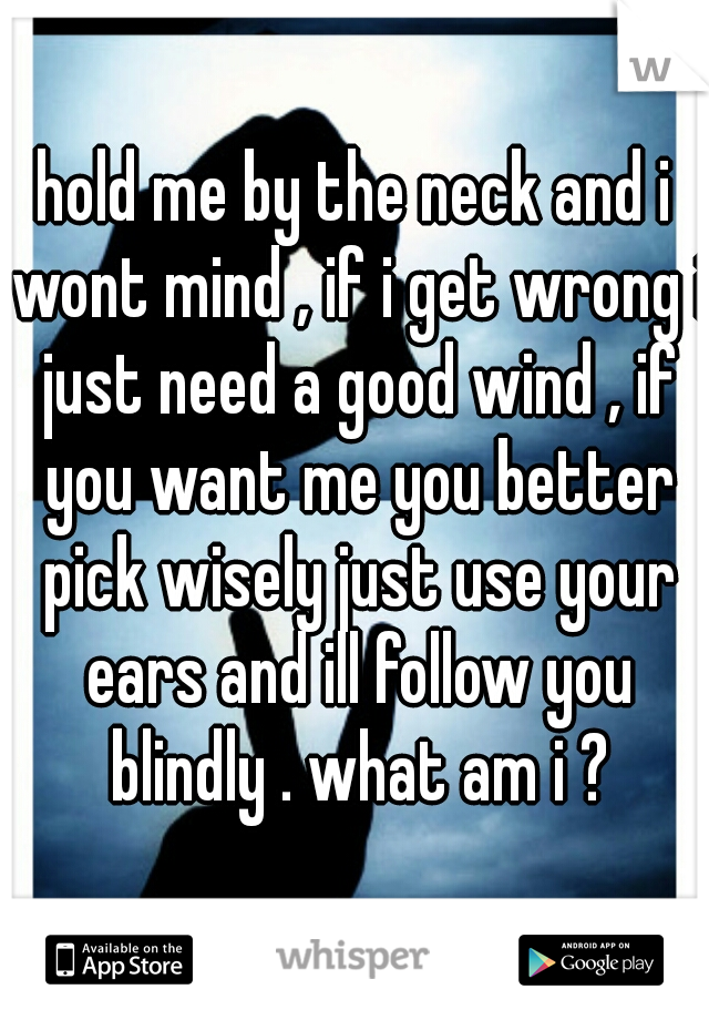 hold me by the neck and i wont mind , if i get wrong i just need a good wind , if you want me you better pick wisely just use your ears and ill follow you blindly . what am i ?