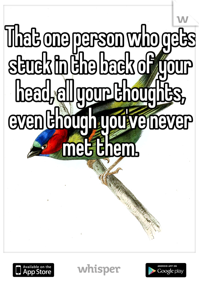 That one person who gets stuck in the back of your head, all your thoughts, even though you've never met them. 