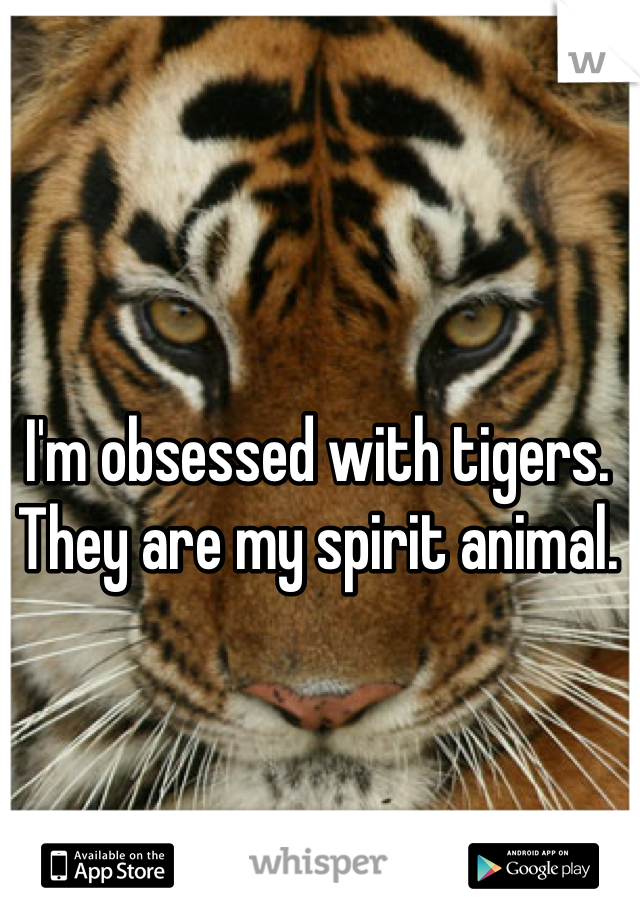 I'm obsessed with tigers. They are my spirit animal. 