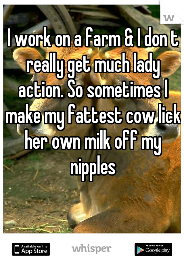 I work on a farm & I don t really get much lady action. So sometimes I make my fattest cow lick her own milk off my nipples