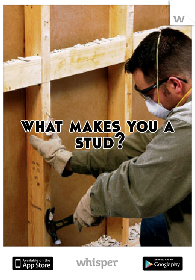 what makes you a stud?