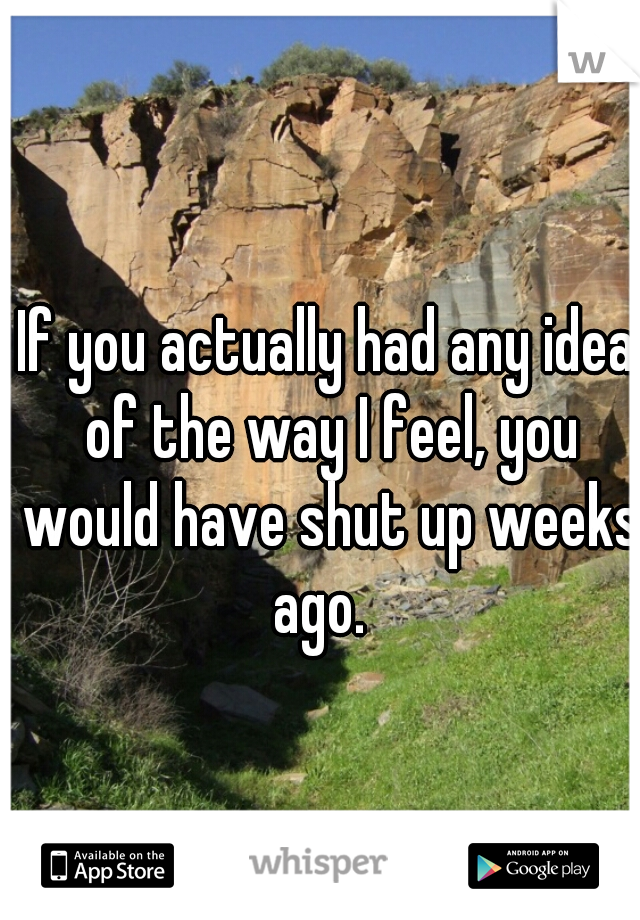 If you actually had any idea of the way I feel, you would have shut up weeks ago.  