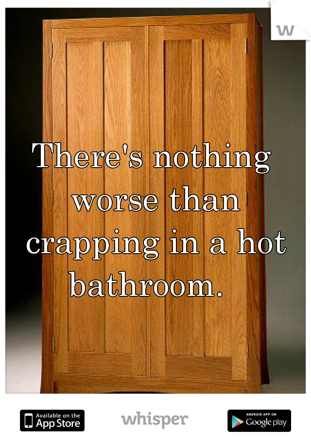 There's nothing worse than crapping in a hot bathroom.  