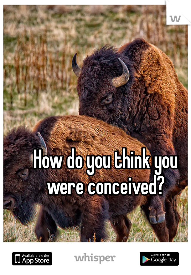 How do you think you were conceived?
