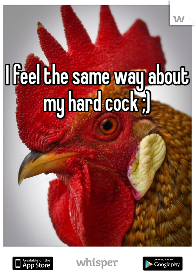 I feel the same way about my hard cock ;)