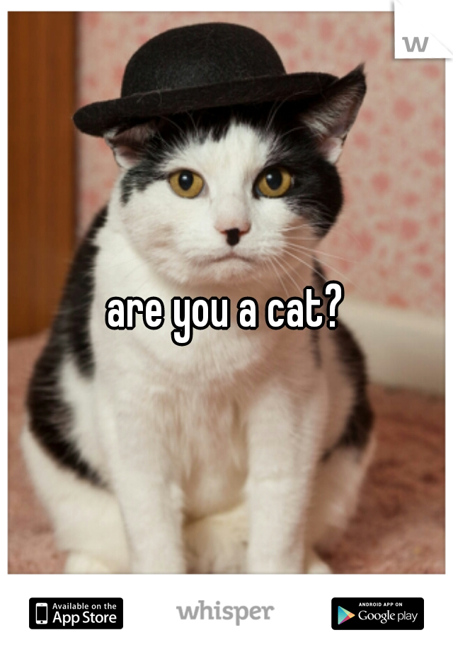 are you a cat?