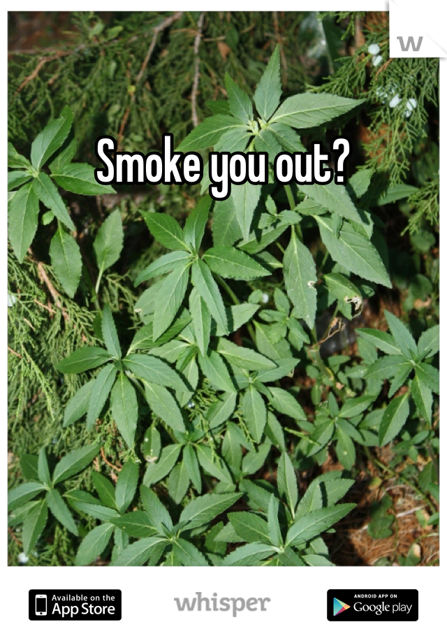 Smoke you out?