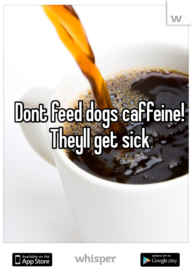Dont feed dogs caffeine! Theyll get sick