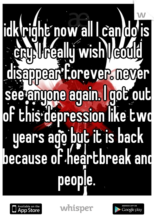 idk right now all I can do is cry. I really wish I could disappear forever. never see anyone again. I got out of this depression like two years ago but it is back because of heartbreak and people. 